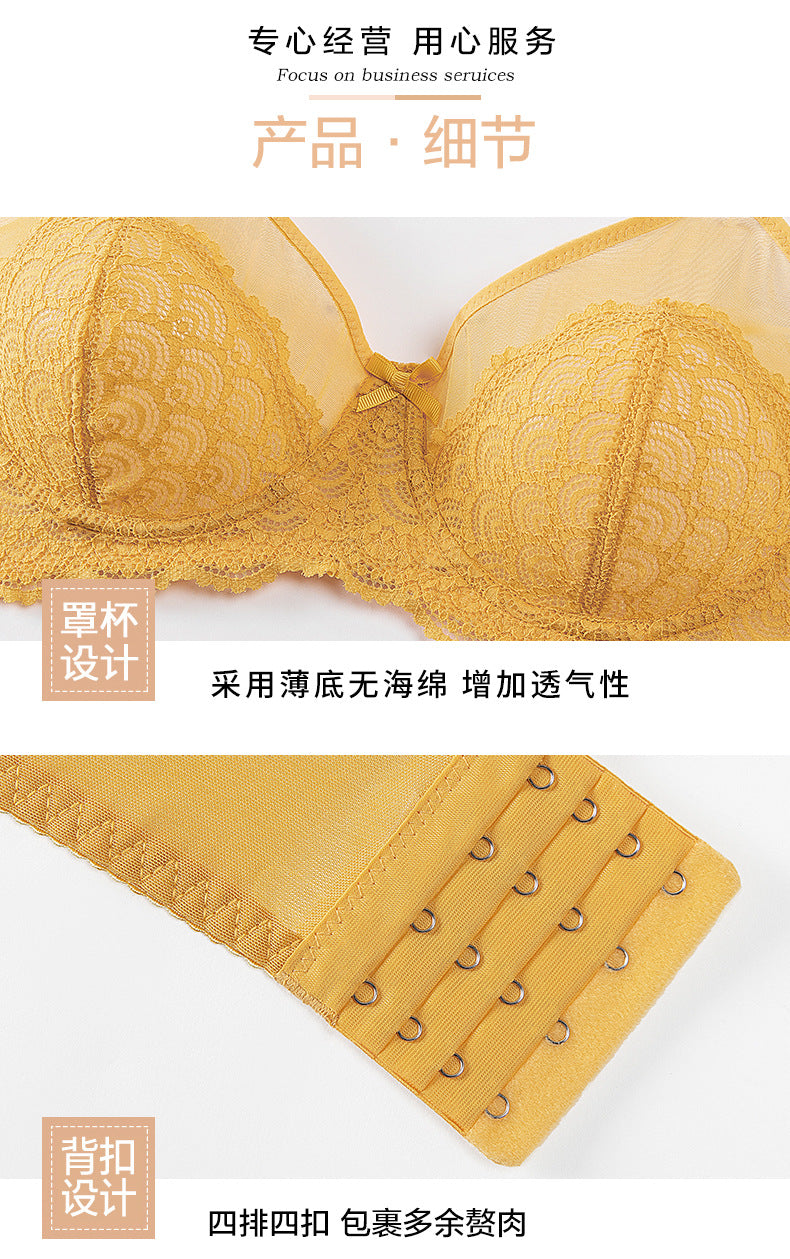 Sexy Lace Bra Plus Size Underwear Ultra-Thin Mesh Push Up Bra