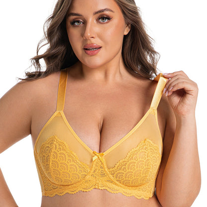 Sexy Lace Bra Plus Size Underwear Ultra-Thin Mesh Push Up Bra