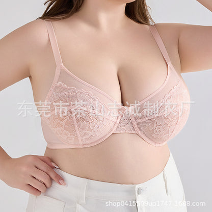 Plus Size Slimming Push-Up Bra Sheer Lace French Style Sexy