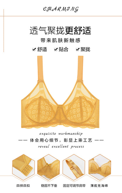 Sexy Lace Bra Plus Size Underwear Ultra-Thin Mesh Push Up Bra