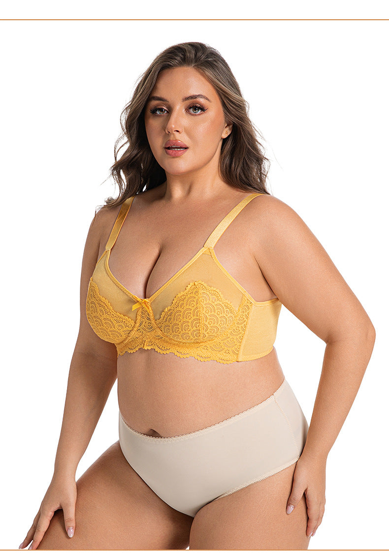 Sexy Lace Bra Plus Size Underwear Ultra-Thin Mesh Push Up Bra
