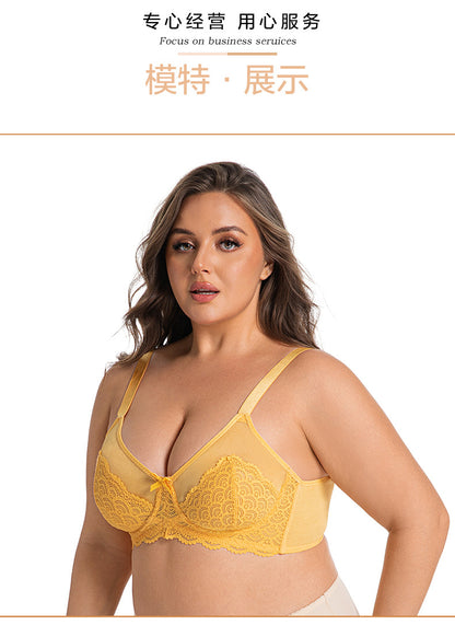 Sexy Lace Bra Plus Size Underwear Ultra-Thin Mesh Push Up Bra