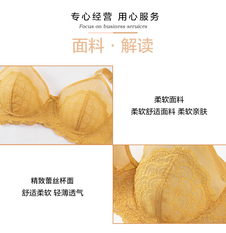 Sexy Lace Bra Plus Size Underwear Ultra-Thin Mesh Push Up Bra