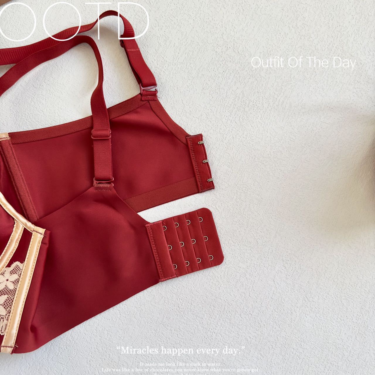 Pure Desire Style French Lingerie Wireless Lace Romantic Embroidery