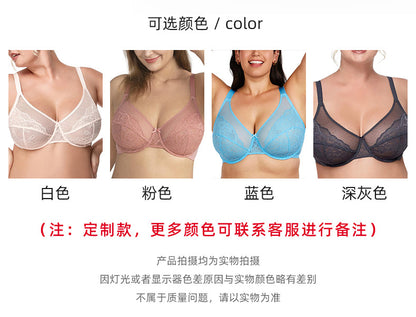 Plus Size Slimming Push-Up Bra Sheer Lace French Style Sexy
