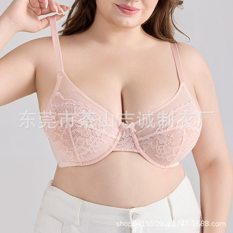 Plus Size Slimming Push-Up Bra Sheer Lace French Style Sexy