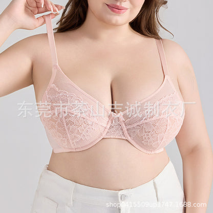 Plus Size Slimming Push-Up Bra Sheer Lace French Style Sexy